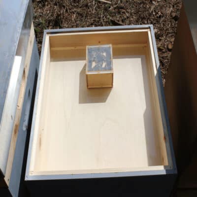 Bienenstock mit Aufstiegsdom für Imkerei, ideal für Honigbienen, Lagerabverkauf, hochwertige Bienenb.