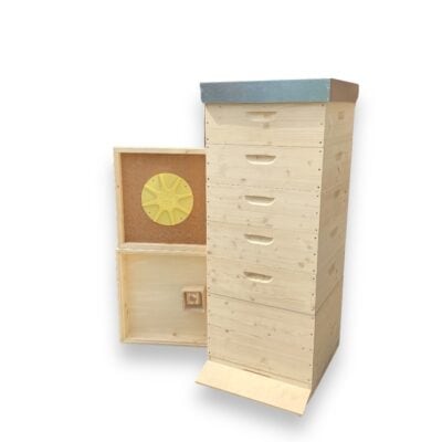 Hochwertiges Dadant US 12er Bienenvolk Beuten Set, modifiziert, fertig gebaut.
