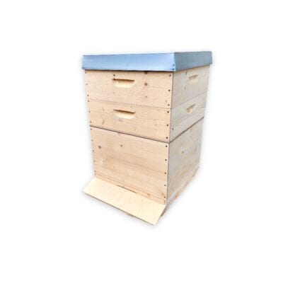Bienenstock mit 12 Rähmchen, flacher Boden, robustes Holz, ideal für Imker.