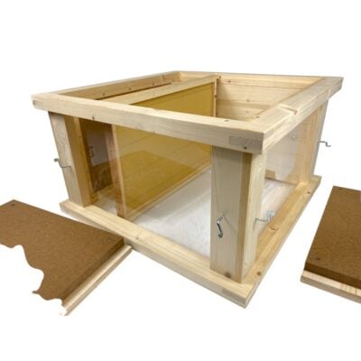 Bienenvolk in Glaszarge für Imkerei, Dadant Blatt.