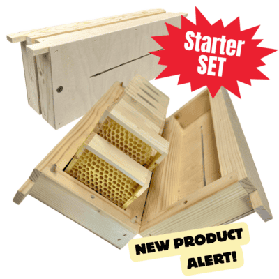 Bienenstarterset aus Holz mit Bienenwaben für Anfänger.