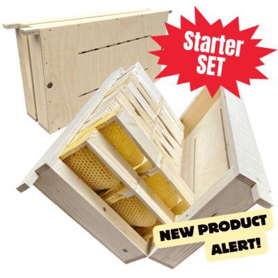 Bienenstarter-Set mit Waben für Imker und Bienenhaltung.