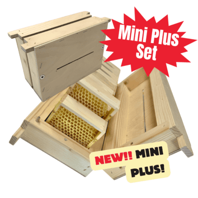 Bienen Mini Plus Set für Bienenstöcke, inklusive Waben und Holzrahmen.