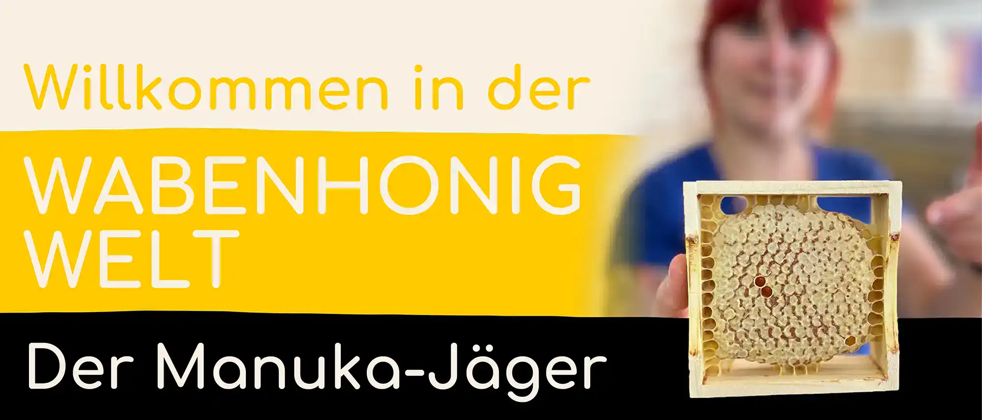Bienenwabe mit Honig in der Wabenhonigwelt bei Bienen Janisch.